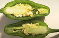 jalapeno cut seeds Vintage A4 Photo Print