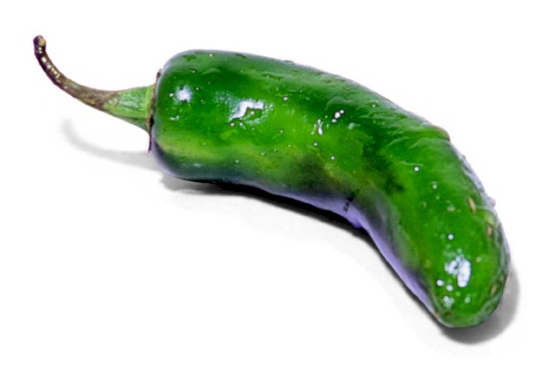 jalapeno pepper wet1980s 1990s A4 Photo Print