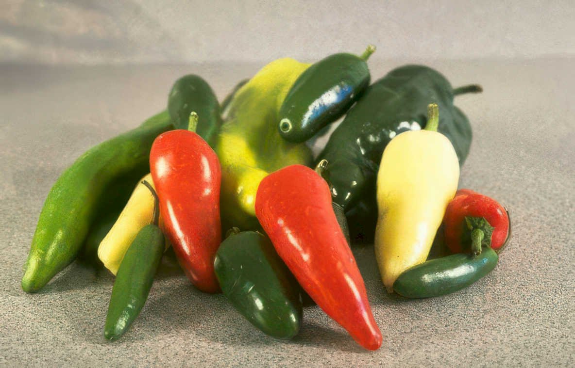 jalapeno peppers variety Vintage A4 Photo Print