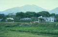 jamaican hills village Vintage A4 Photo Print