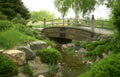 japanese bridge stream Vintage A4 Photo Print