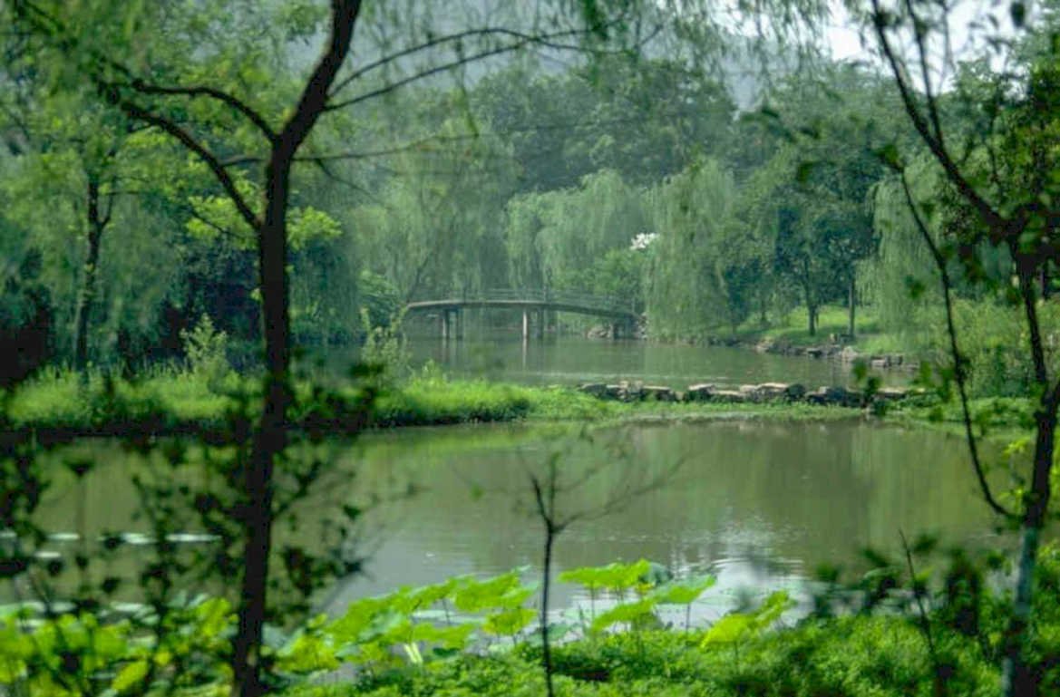 japanese garden bridge 1980s 1990s A4 Photo Print