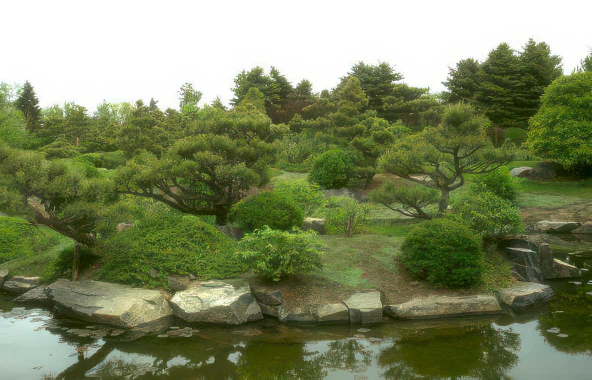 japanese garden pond 1 Vintage A4 Photo Print