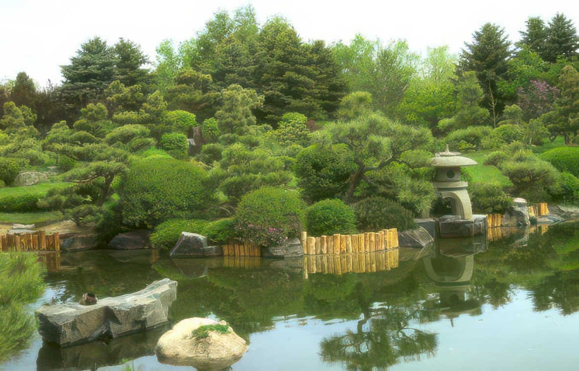 japanese garden pond 2 Vintage A4 Photo Print