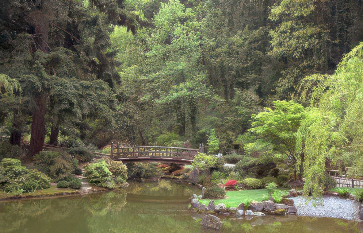 japanese garden pond Vintage A4 Photo Print