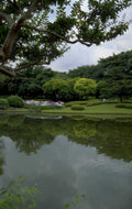 japanese garden reflection 1980s 1990s A4 Photo Print