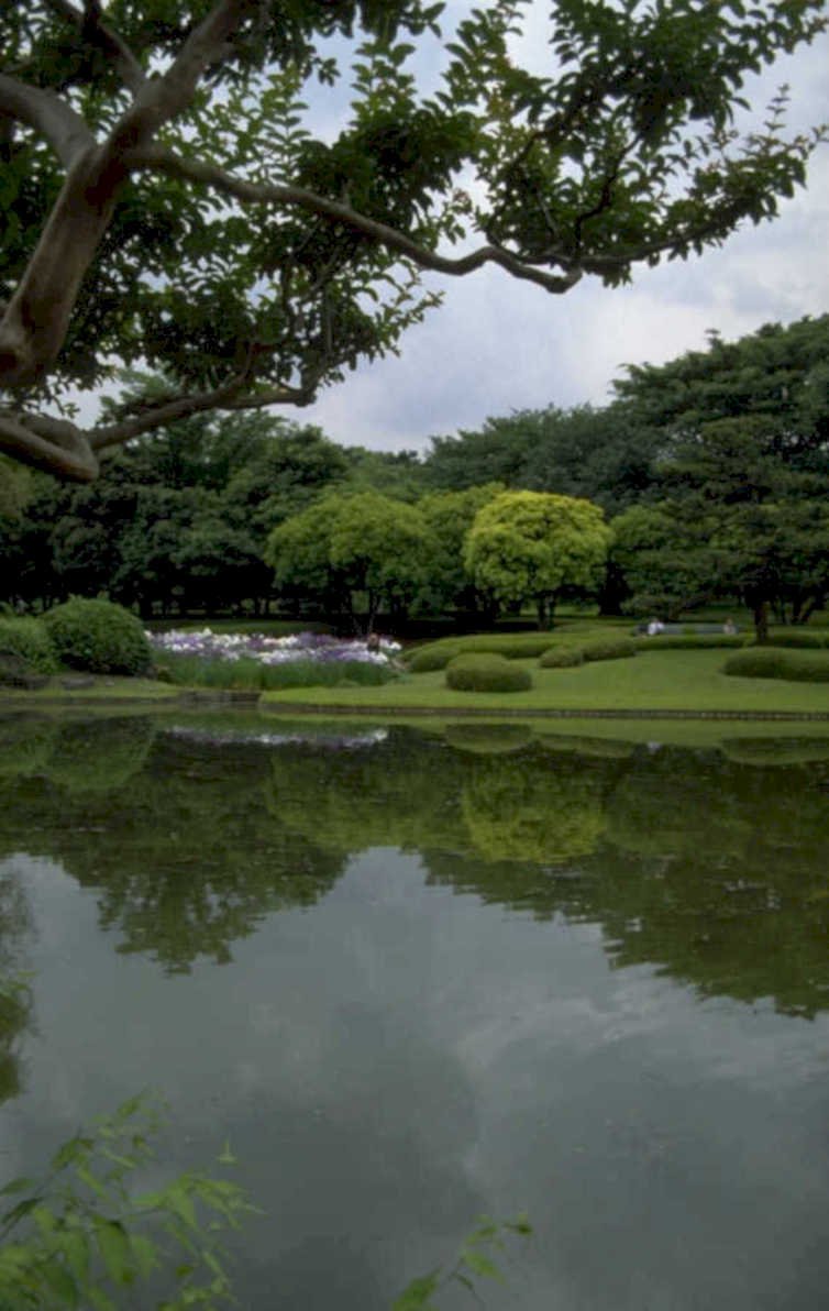 japanese garden reflection 1980s 1990s A4 Photo Print