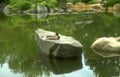 japanese garden turtle Vintage A4 Photo Print
