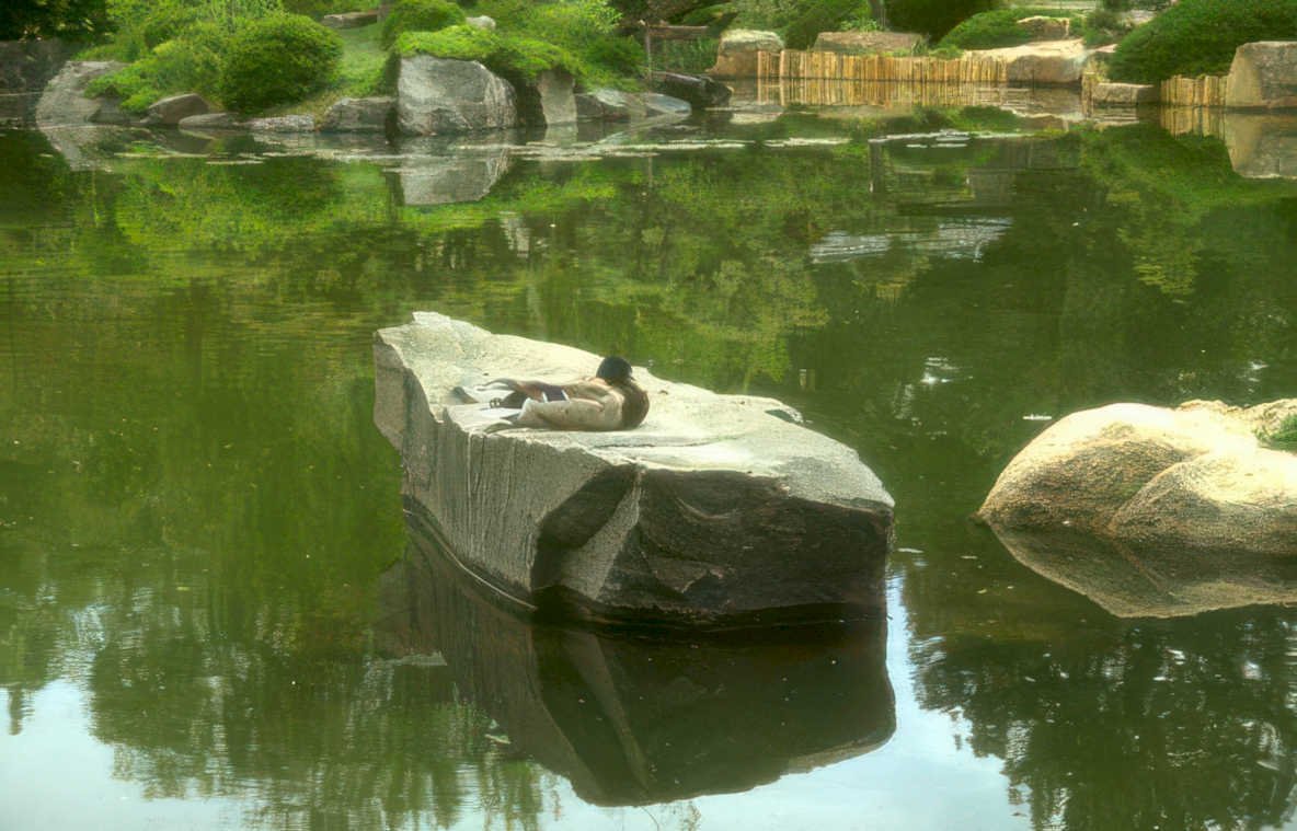 japanese garden turtle Vintage A4 Photo Print