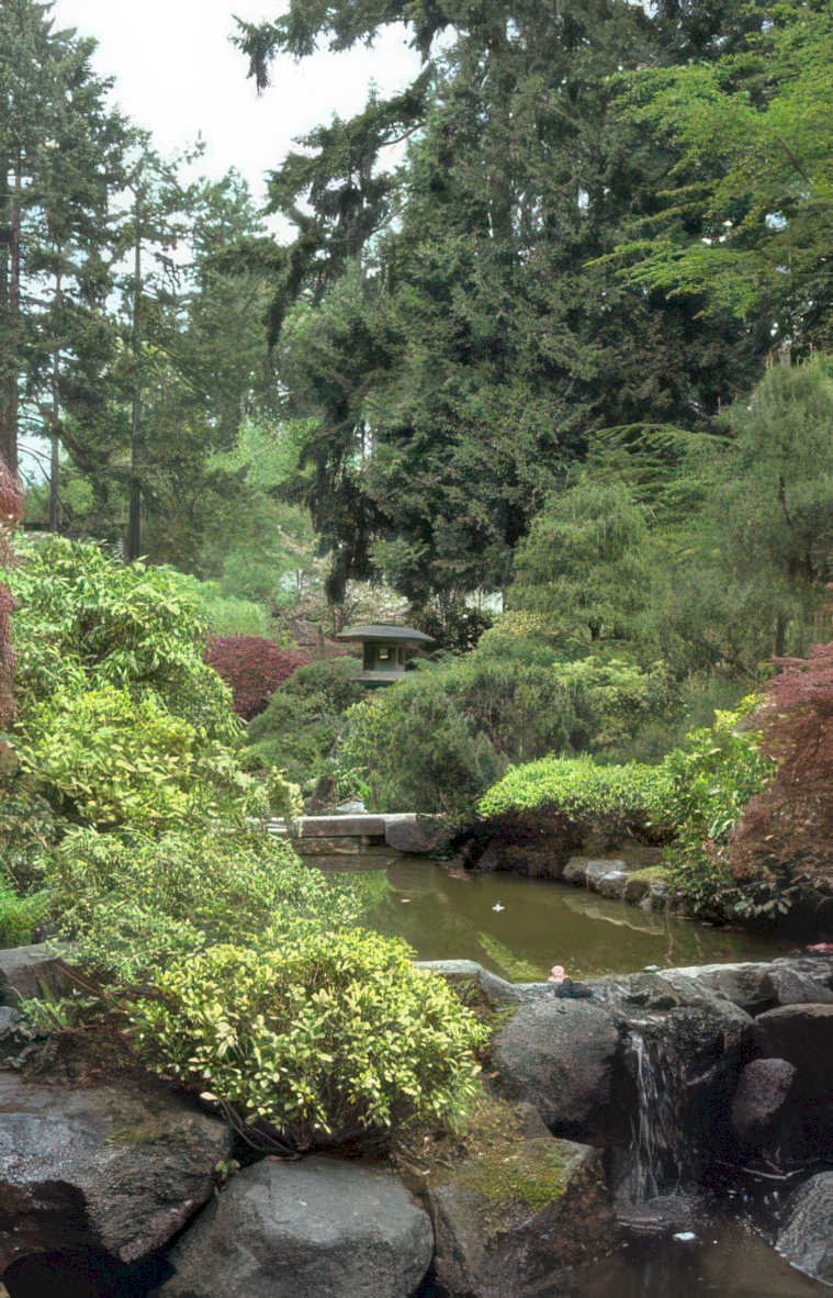 japanese garden waterfall Vintage A4 Photo Print