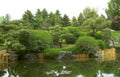 japanese pond garden Vintage A4 Photo Print
