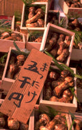 japanese root vegetables 1980s 1990s A4 Photo Print