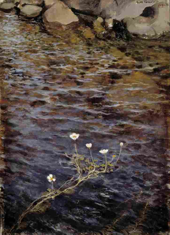 jarnefelt eero pond water crowfoot Art A4 Photo Print