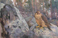 jarnefelt eero the hawks in the woods Art A4 Photo Print