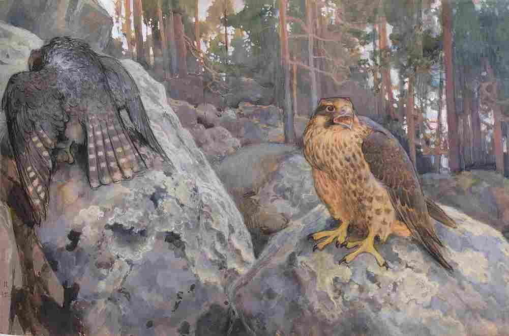jarnefelt eero the hawks in the woods Art A4 Photo Print