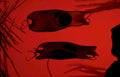 jellyfish figures cave Vintage A4 Photo Print