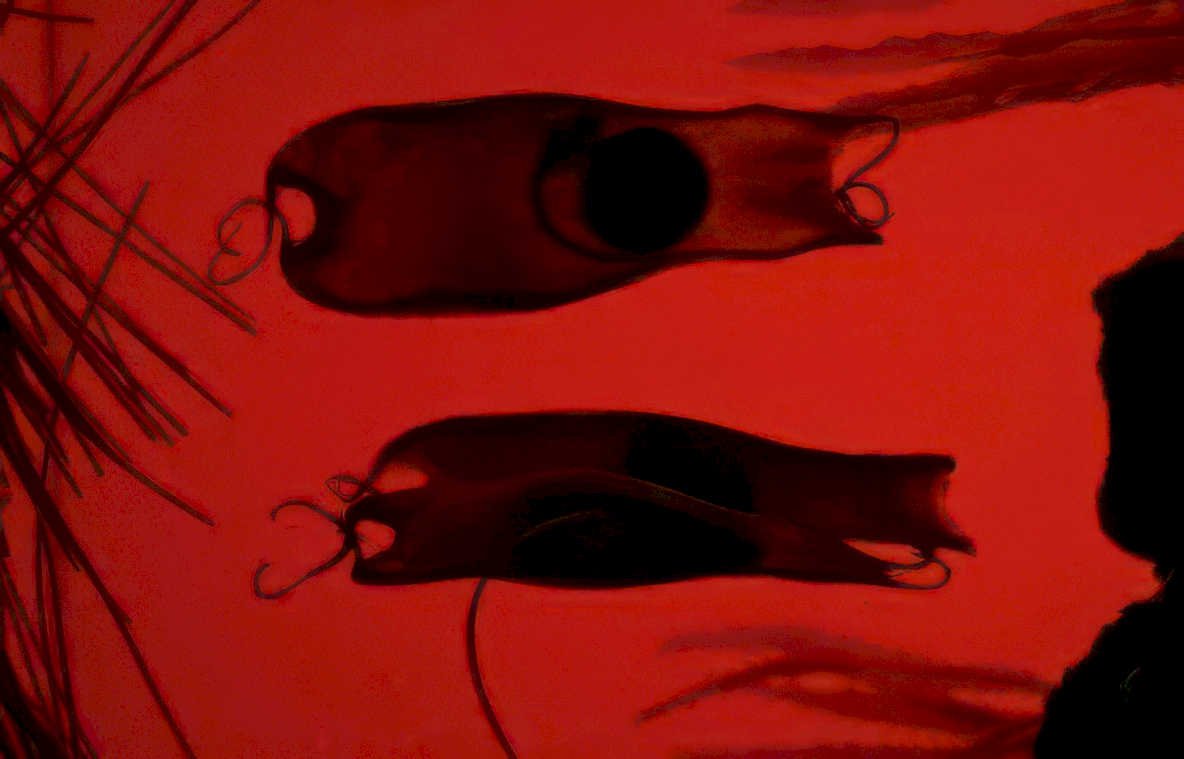 jellyfish figures cave Vintage A4 Photo Print