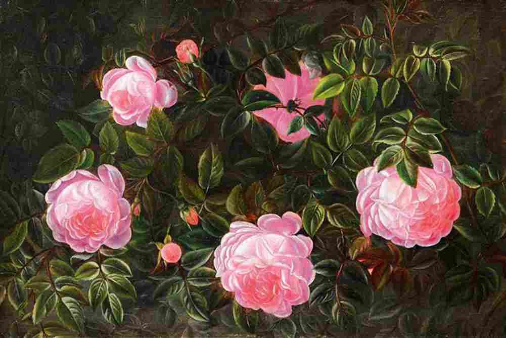 jens Rose Bush Art A4 Photo Print