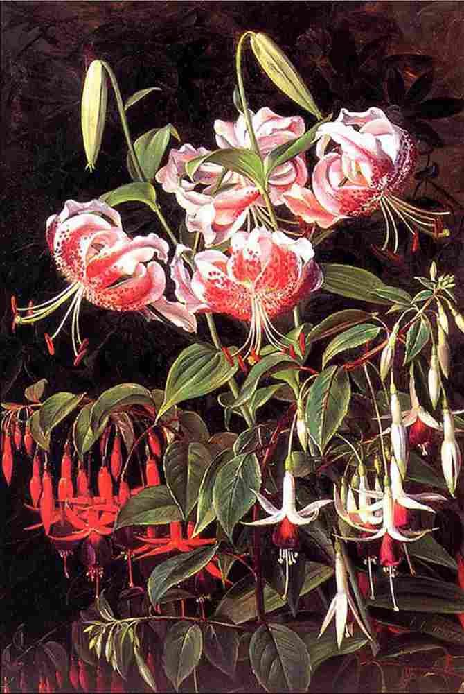 jens Rubrum Lilies and Fuschias Art A4 Photo Print