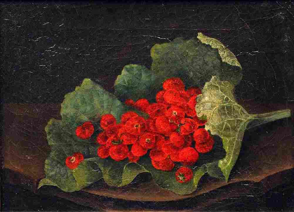 jens Still life with Strawberries Art A4 Photo Print