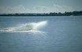 jet ski boating Vintage A4 Photo Print