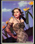 joan fontaine Advert A4 Photo Print
