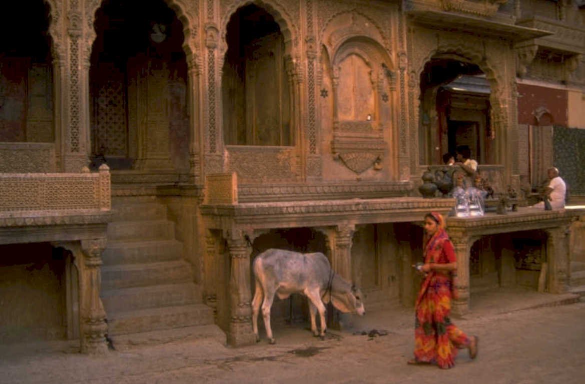 jodhpur lattice windows 1980s 1990s A4 Photo Print