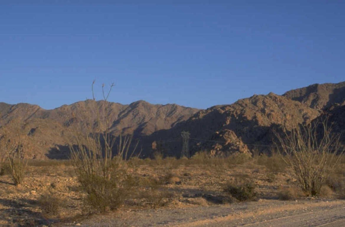 joshua tree desert 1980s 1990s A4 Photo Print