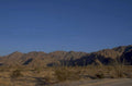 joshua tree landscape 1 1980s 1990s A4 Photo Print