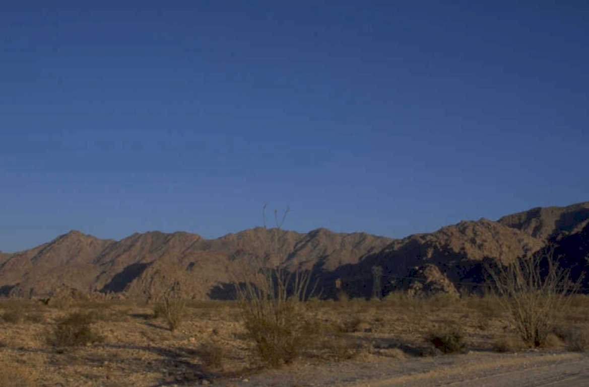 joshua tree landscape 1 1980s 1990s A4 Photo Print