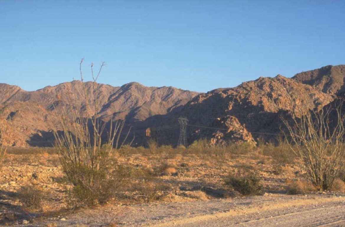 joshua tree landscape 2 1980s 1990s A4 Photo Print