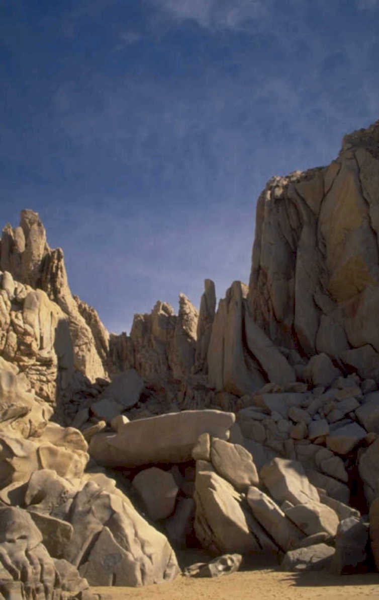 joshua tree skull 1980s 1990s A4 Photo Print