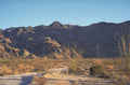 joshua trees mountains 1980s 1990s A4 Photo Print