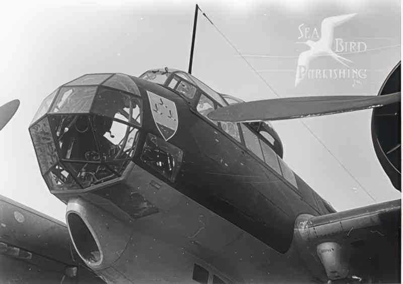 ju87 stuka wwii Vintage world war A4 Photo Print