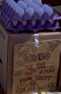 jumbo chicken eggs 1980s 1990s A4 Photo Print