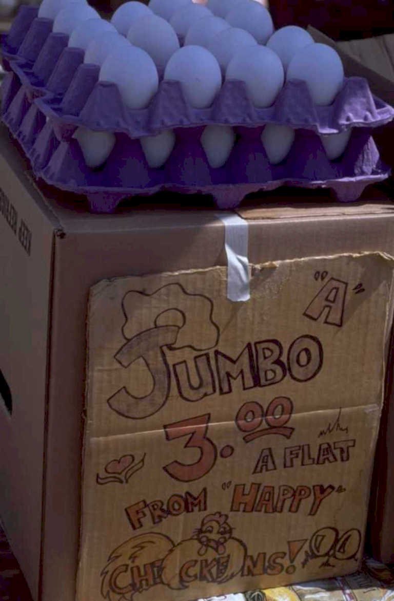 jumbo chicken eggs 1980s 1990s A4 Photo Print