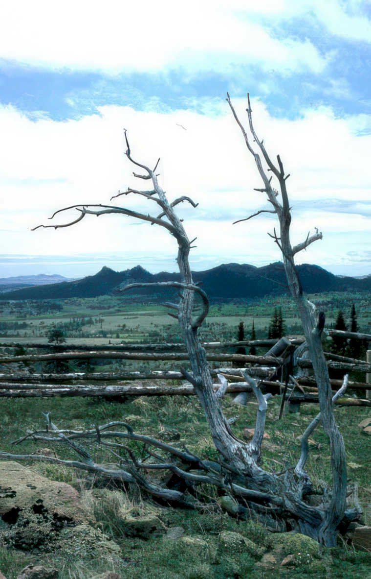 juniper fence mountains Vintage A4 Photo Print