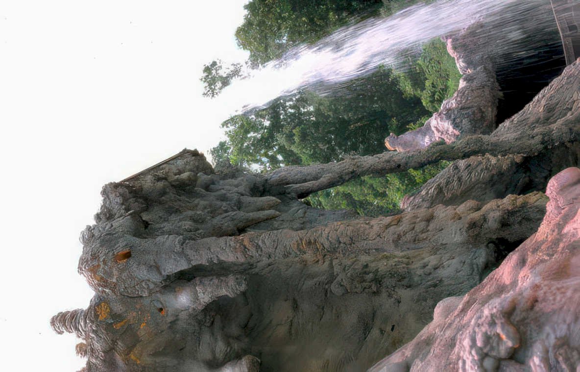jurassicpark predator riveradventure Vintage A4 Photo Print
