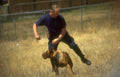 k9 training german Vintage A4 Photo Print