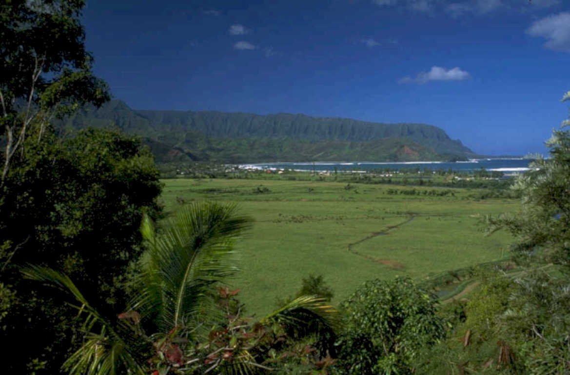 kauai valley view 1980s 1990s A4 Photo Print