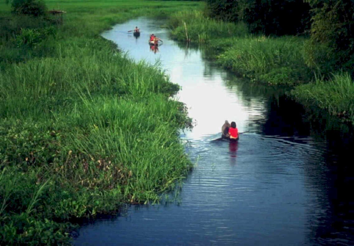 kayaking everglades summer1980s 1990s A4 Photo Print