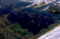 kelp forest blue 1980s 1990s A4 Photo Print