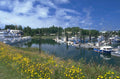 ketchikan harbor boats 2 1980s 1990s A4 Photo Print