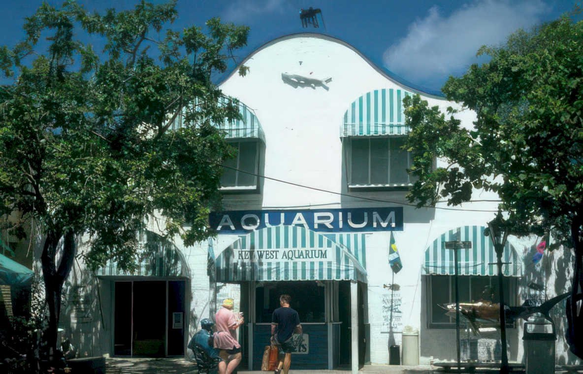 key west aquarium 1 Vintage A4 Photo Print
