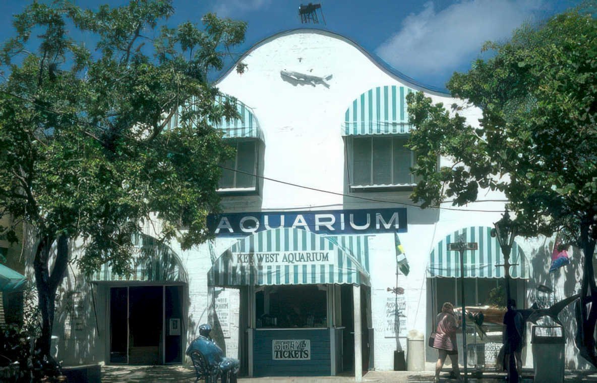 key west aquarium 2 Vintage A4 Photo Print