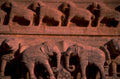 khajuraho elephants relief 1980s 1990s A4 Photo Print