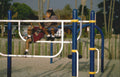 kids playground jungle Vintage A4 Photo Print