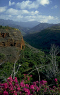 kilauea caldera view 1980s 1990s A4 Photo Print