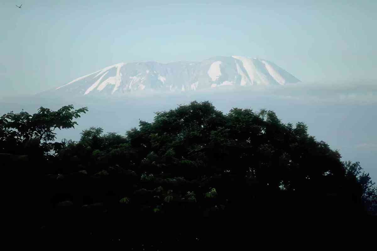 kilimanjaro mountains landscape A4 Photo Print