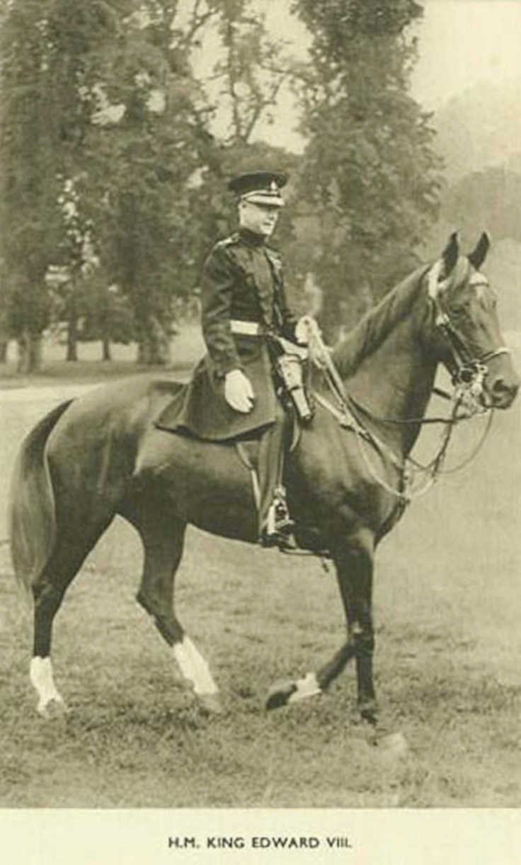 king edward horseVintage 1880s 1900s A4 Photo Print
